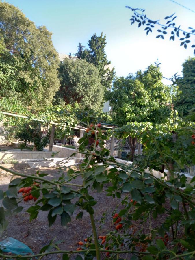 Apartamento Stone Oasis Vito Dubrovnik